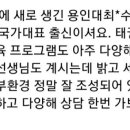 강한선인태권도장 네이버블로그