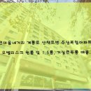 노벨공인중개사사무소 이미지