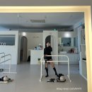 필바레;표 | 국제필바레지도자협회- 필바레표 바레자격증