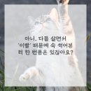 선한약속치과의원 네이버블로그