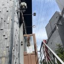 지에스25 연남호호점 | 서울 마포구 연남동데이트 양식 파스타 맛집추천 카멜로연남