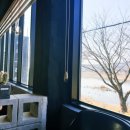 돼지블라썸 이미지