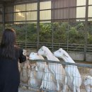 수평목장 이미지