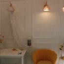 우주개스타 이미지