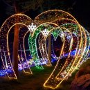 12월23일(일요일) 맛집 & 힐링숲 별빛축제~ 이미지