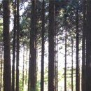 신성목장 이미지