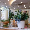 카페블랑(CAFE BLANC) 이미지