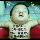 선녀와나무꾼 이미지