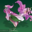 닭 씨리즈 이미지