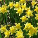 금파공업고등학교 이미지