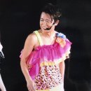 다몰 이미지