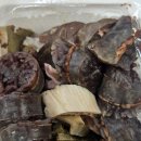 맹자네떡복이 이미지