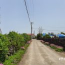 조수1리사무소 이미지