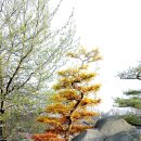 회현농장 이미지