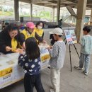 정자2동 이미지