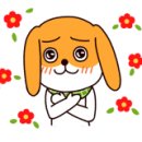 하나청과 이미지
