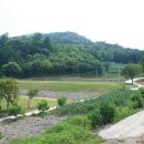 기반공사 완료된 춘천시 전원주택지 및 주말농장지 평당 25만원 이미지