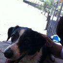 파인하우스민박 이미지