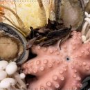 대가코다리 이미지