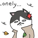 스틸존 이미지