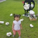 승아목장 이미지