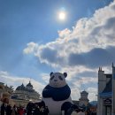 에버랜드 ( 푸바오 보러🐼) 2/16 이미지