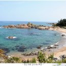오주 이미지