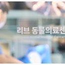 검암동물병원 이미지