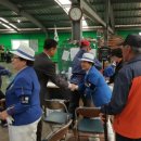 감암게이트볼장 이미지