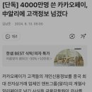 알리에 이미지