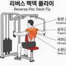 리버스피트니스 이미지