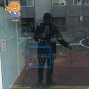 팍스바이시클