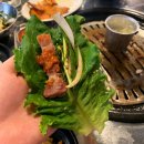 샵돼일리 이미지