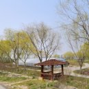 서동공원 향토음식특화거리 이미지