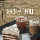 세븐일레븐천안성환대로점 | 천안 애견동반 카페 매주리 커피 분위기 좋은 카페 후기