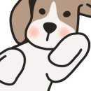 놀면뭐하개 이미지