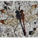 용암낚시터 이미지