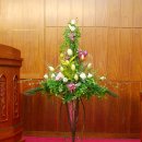 대광교회 이미지