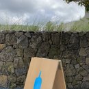 퍼머넌트베케이션표선 이미지