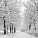 자연을 노래하다 이미지