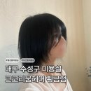 코코리움헤어 | [대구 수성구 미용실] 단발레이어드컷 숏단발 추천 코코리움헤어 황금점