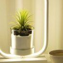 데이러블 이미지