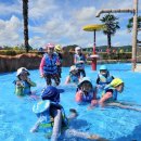 주호태권도 이미지