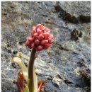 산천초목민박 이미지