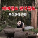에버랜드 판다월드 후기 루이후이 근황 세컨하우스