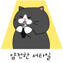 반딧불이 캠핑장 이미지