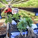 호천농장 이미지