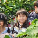 영재사관어린이집 이미지