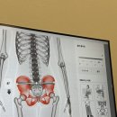 국제바른자세습관지도사협회 | 잠실체형교정 후기｜어깨랑 거북목, 무릎 아픔의 원인인 자세 교정, 클래스바디 체형교정센터 송파잠실점