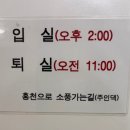 알파카 소풍 펜션 이미지